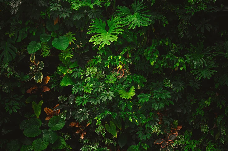 Jonara | The Global Seal of Excellence in Luxury Wellness